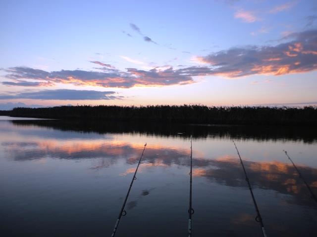 Doar ... NATURA - 3 - dsc00749.JPG